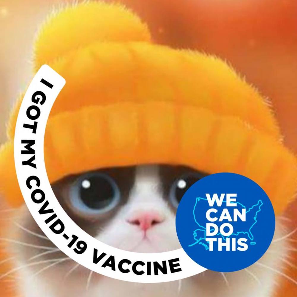 Meet your Posher, Minñie